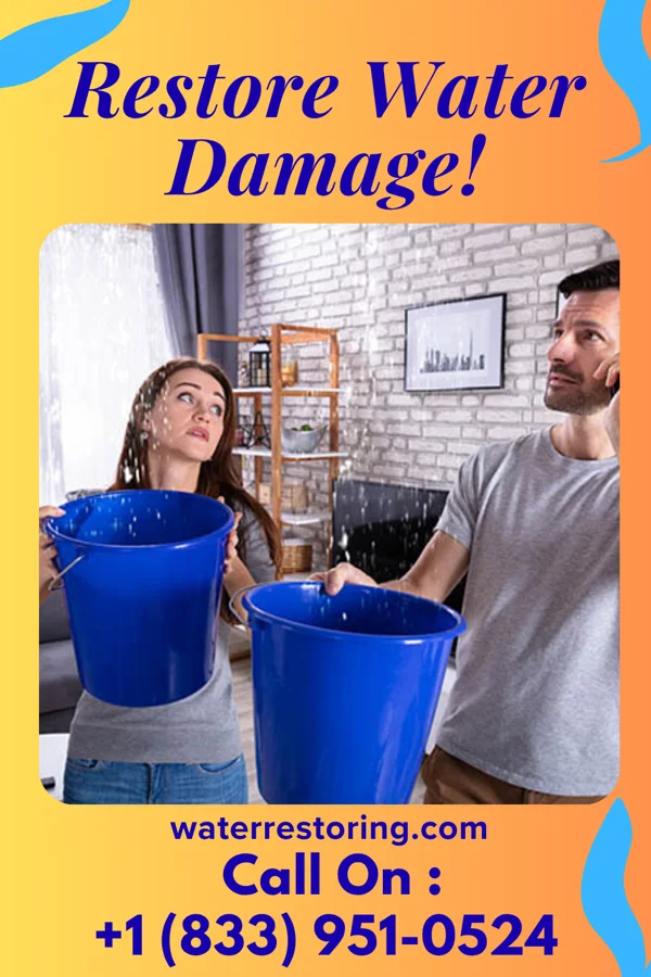 water restoration Best Cleanup Stratford