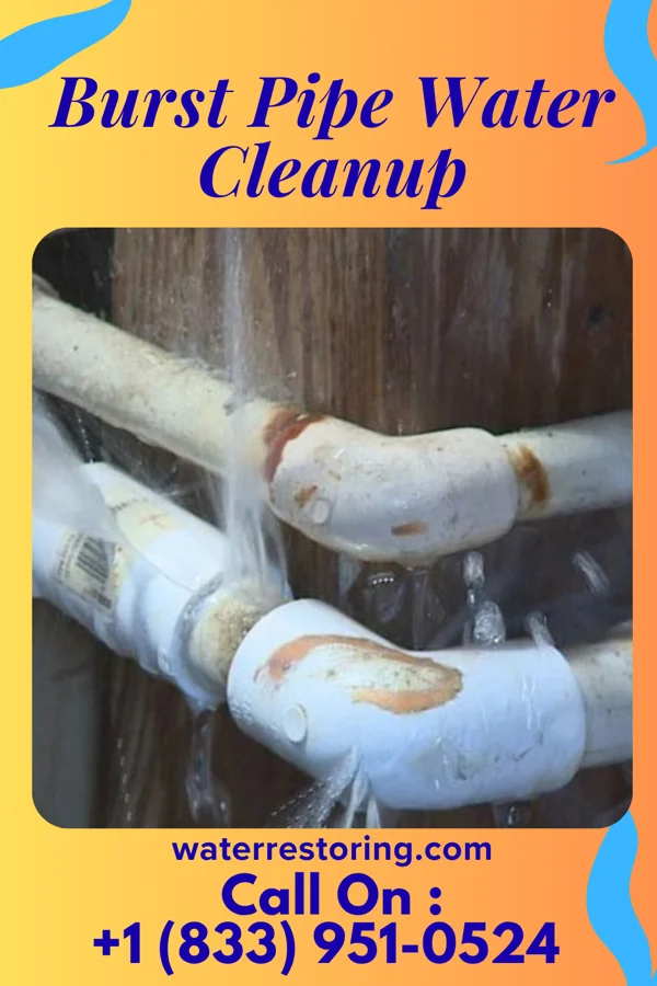Burst Pipe Water Cleanup in Stratford, NJ