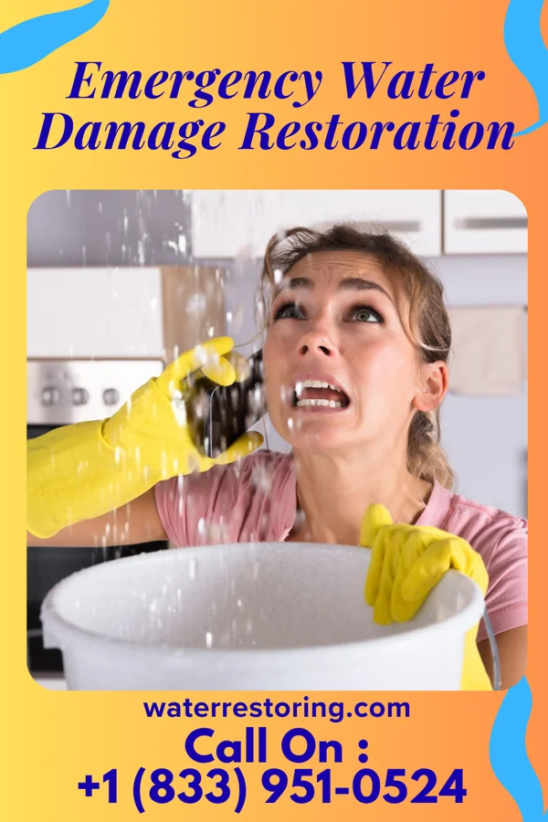 Emergency Water Damage Restoration in Stratford, NJ