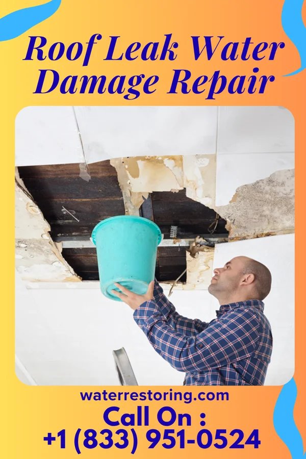 Roof Leak Water Damage Repair in Stratford, NJ