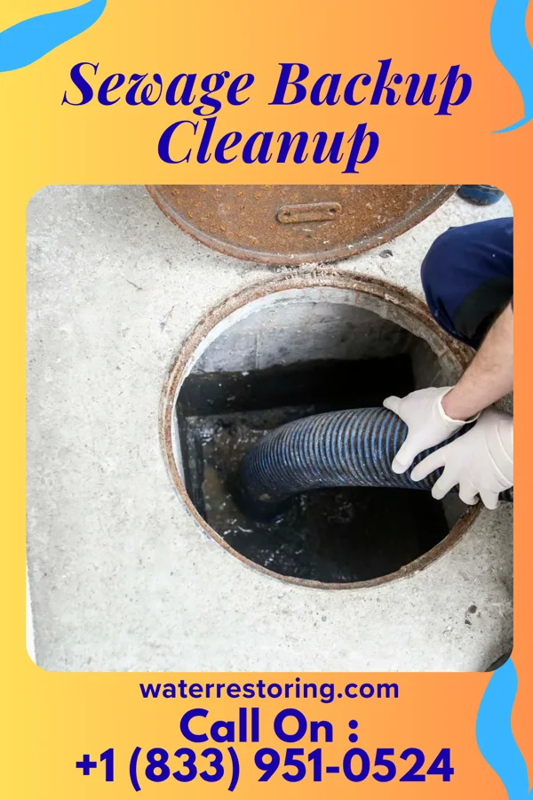 Sewage Backup Cleanup in Stratford, NJ