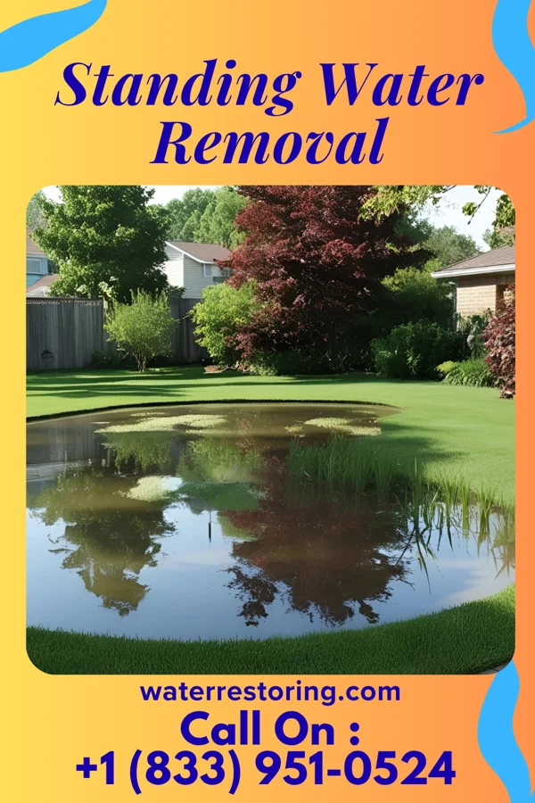 Standing Water Removal in Stratford, NJ